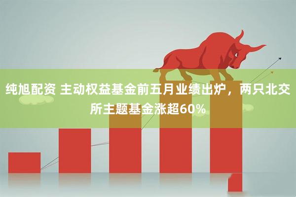 纯旭配资 主动权益基金前五月业绩出炉，两只北交所主题基金涨超60%