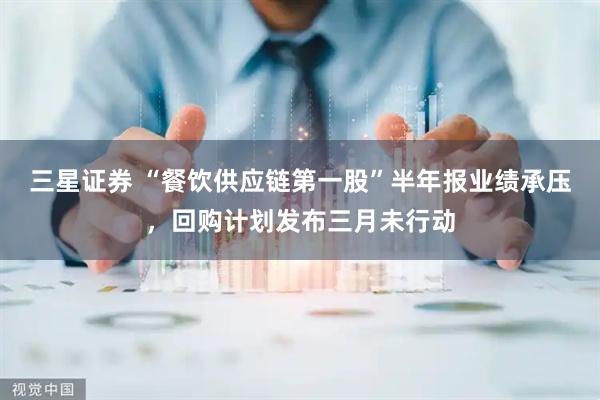 三星证券 “餐饮供应链第一股”半年报业绩承压，回购计划发布三月未行动